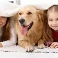 Лептоспироза