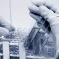 Иновативни растения ще лекуват хемофилия?