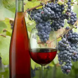 Лучено вино за добър имунитет