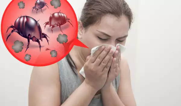 В близко бъдеще: Всеки втори европеец ще има алергия