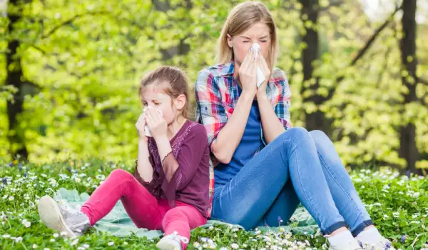 Топ 10 на най-лошите растения за вашите алергии