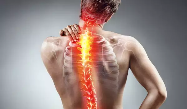 Няколко неща, които болката в гърба подсказва