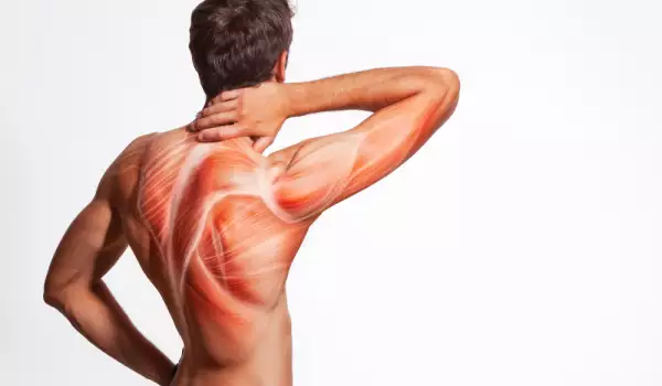 Упражнения за мускулите на гръбначния стълб