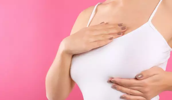 факти за женските гърди