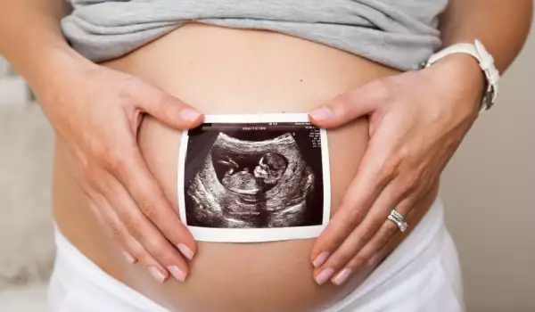 Плацентата на бременните жени - какво трябва да знаем