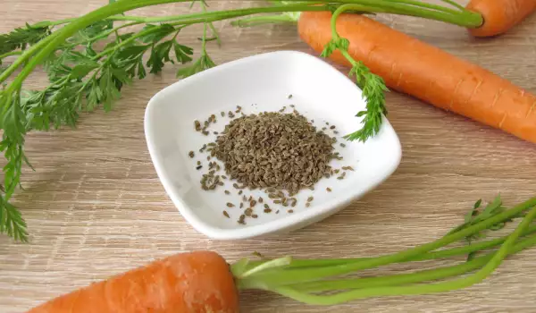 При астма - семена от морков
