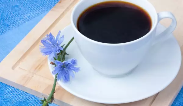 Цикория - отличен заместител на кафето