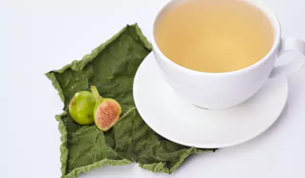 чай от смокинови листа