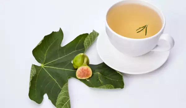 Чай от смокинови листа – вкусен и страшно полезен!