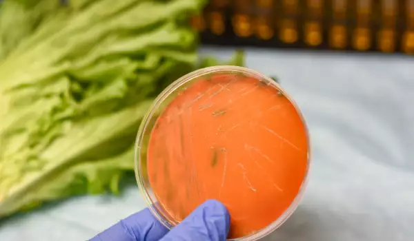 бактерията листериоза