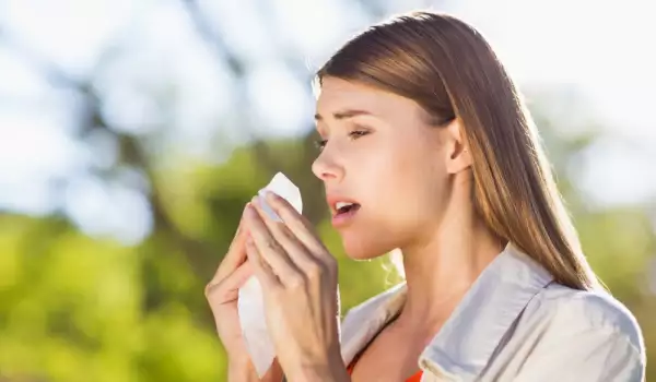 Домашни лекове срещу алергиите