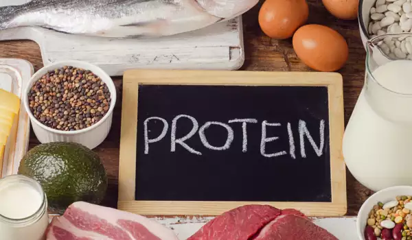 протеин на ден