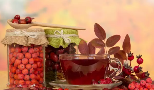 За профилактика на жлъчката - чай от цвят на шипка