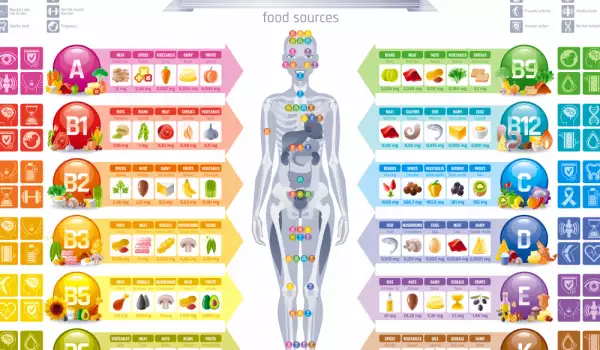 важни витамини и добавки за тялото